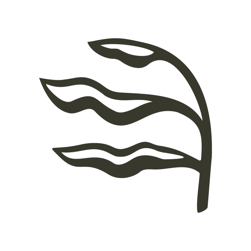 Stylized dark green leaf illustration on a white background, Canmore aesthetic