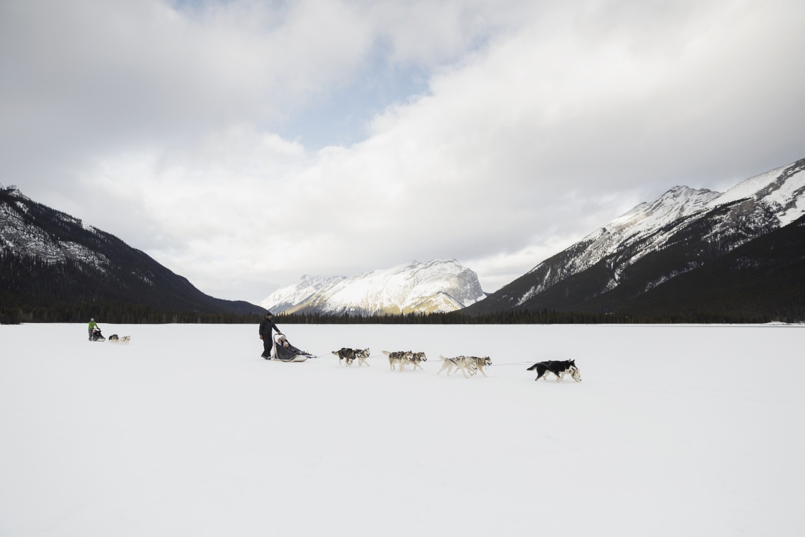 Dog Sledding in Canmore, Alberta